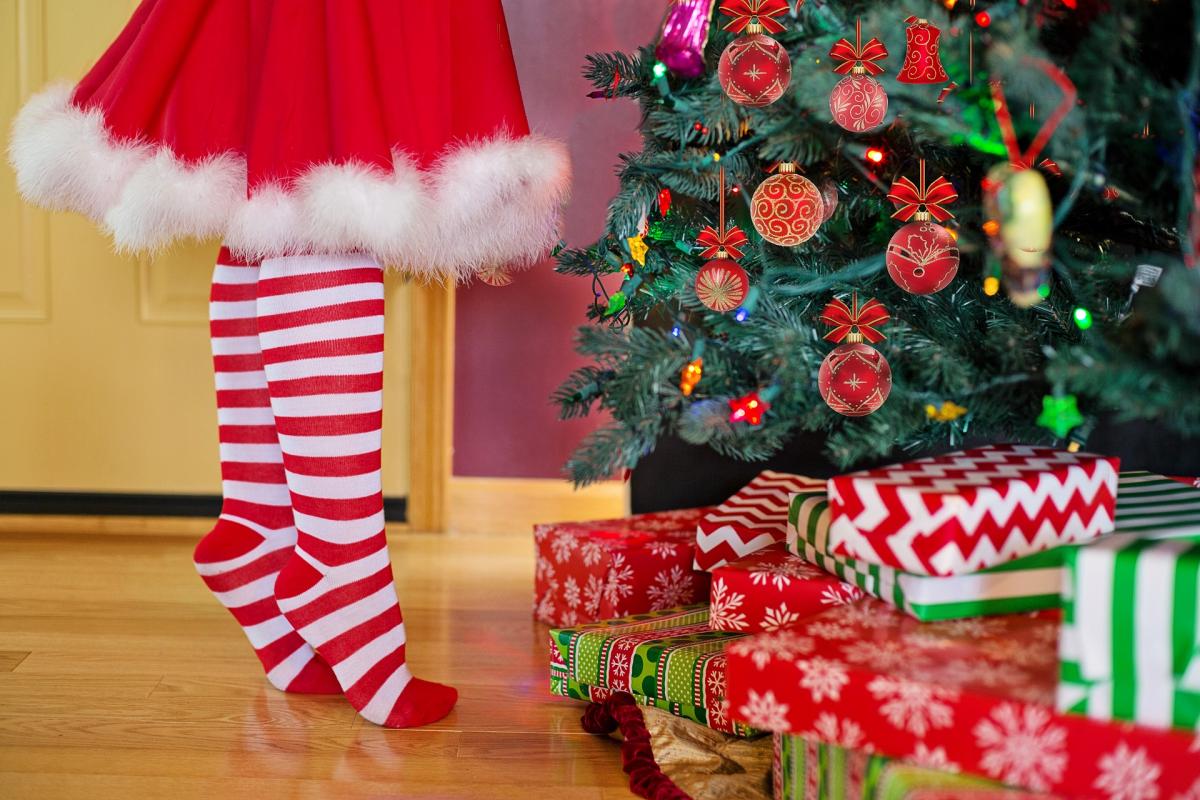 the-biggest-christmas-tree-in-the-world-malagronda
