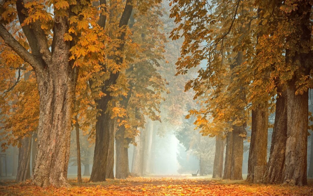 Fall at Case Graziani: Colours, Flavours and Relax
